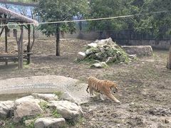 -西安秦岭野生动物园