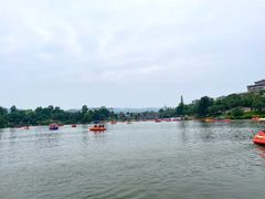 -枫香湖儿童公园