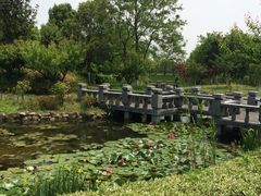 iphone_upload_pic-太阳岛度假酒店