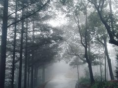 -南岳衡山风景名胜区