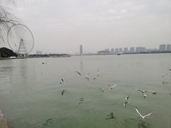 -无锡蠡湖国家湿地公园-蠡园