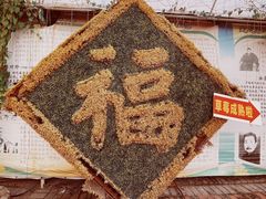 -麻涌飞鸭开心农场