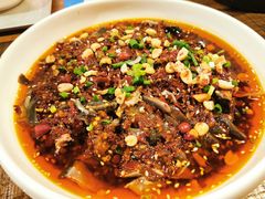 凉拌鸡-铁公鸡·四川料理(天环广场店)