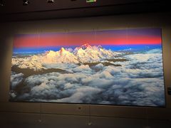 -罗红摄影艺术馆