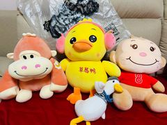 -PAWTOY爪e玩偶店(天兴罗斯福店)