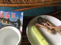 -岩保农家乐