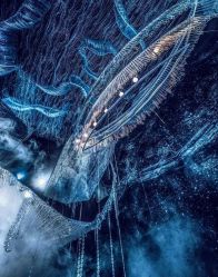 -上海外高桥喜来登酒店·宴会厅