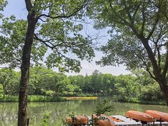 -西溪国家湿地公园