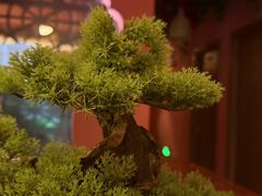 -泰融玺·泰式按摩SPA(包河万达店)
