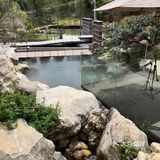 遛娃聚餐好去处~藏在郊区的宝藏餐馆