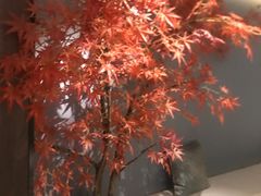 -三谷里·生态水疗空间(五一店)
