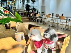 -2326 Coffee Roaster咖啡豆可选店(林肯公园店)