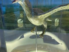 -辽宁古生物博物馆