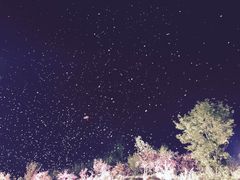 -常德桃花源景区