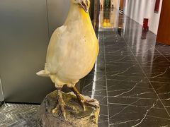 -琬苑鸽庄·川粤融合菜(解放碑总店)