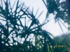 -乌托邦咖啡(武侯祠店)