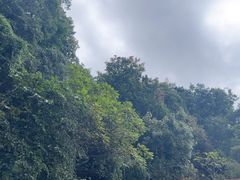 -终南山南五台景区