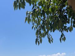 -南诏风情岛