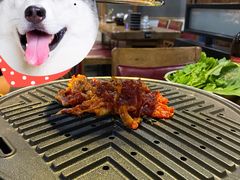 -齐函杨佳清真烤肉(鑫海店)