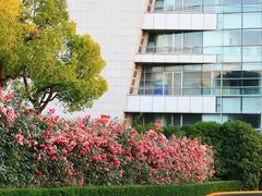 -上海科技馆(地铁站)