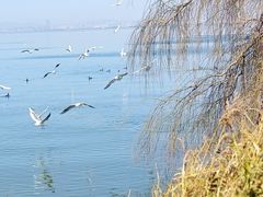 -捞渔河湿地公园