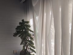 -上足·影院足道·SPA(红岭店)