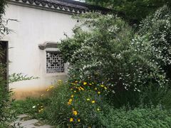 -尚贤河湿地