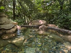 -天目湖涵田半山温泉水乐园