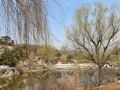 -北京西山国家森林公园