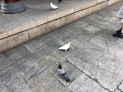 -南华寺素食馆(南华禅寺店)