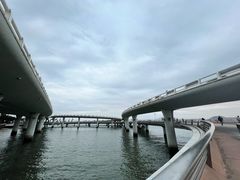 -演武大桥观景平台