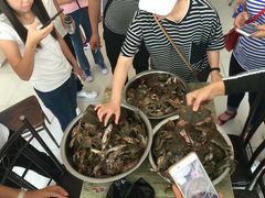-北戴河圣蓝海洋公园
