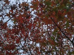 -北京西山国家森林公园