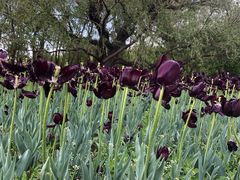 -长春公园(普阳街道)