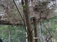 -杭州千岛湖开元度假村