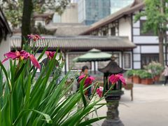 -古大圣慈寺