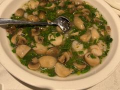 荠菜草菇烩虾仁-和记小菜(东方店)