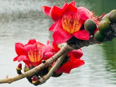 -东山湖公园