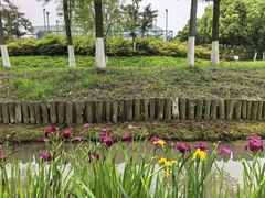 -皇粮浜公园