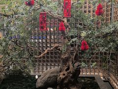 -船歌·鱼水饺青岛菜(闽江二路店)