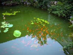 -苏州文旅花间堂·探花府酒店