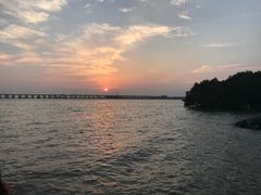 -宝安西湾红树林湿地公园