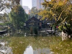 -静安公园(静安寺街道)
