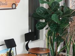 -寓下coffee(宠物友好店)
