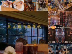 -more than meow吴止猫主题餐厅(承德 中船汇店)