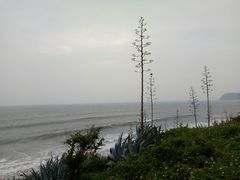 -漳州滨海火山岛自然生态风景区