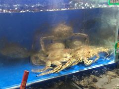 水产区-大东海海鲜酒楼(渔人码头总店)