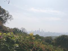 -广州市白云山风景名胜区