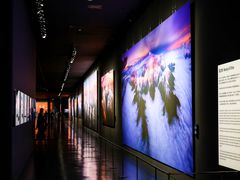 -罗红摄影艺术馆