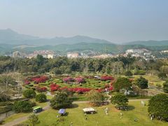 -中国科学院西双版纳热带植物园